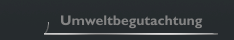 Umweltbegutachtung